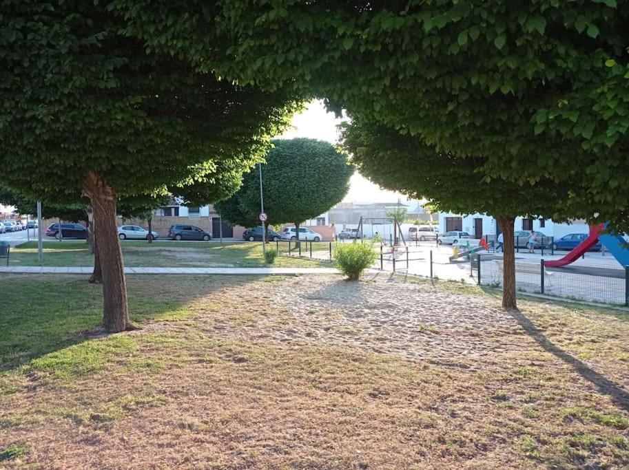 Acogedor Loft A 30 Minutos De La Playa Y Montana Διαμέρισμα Lebrija Εξωτερικό φωτογραφία
