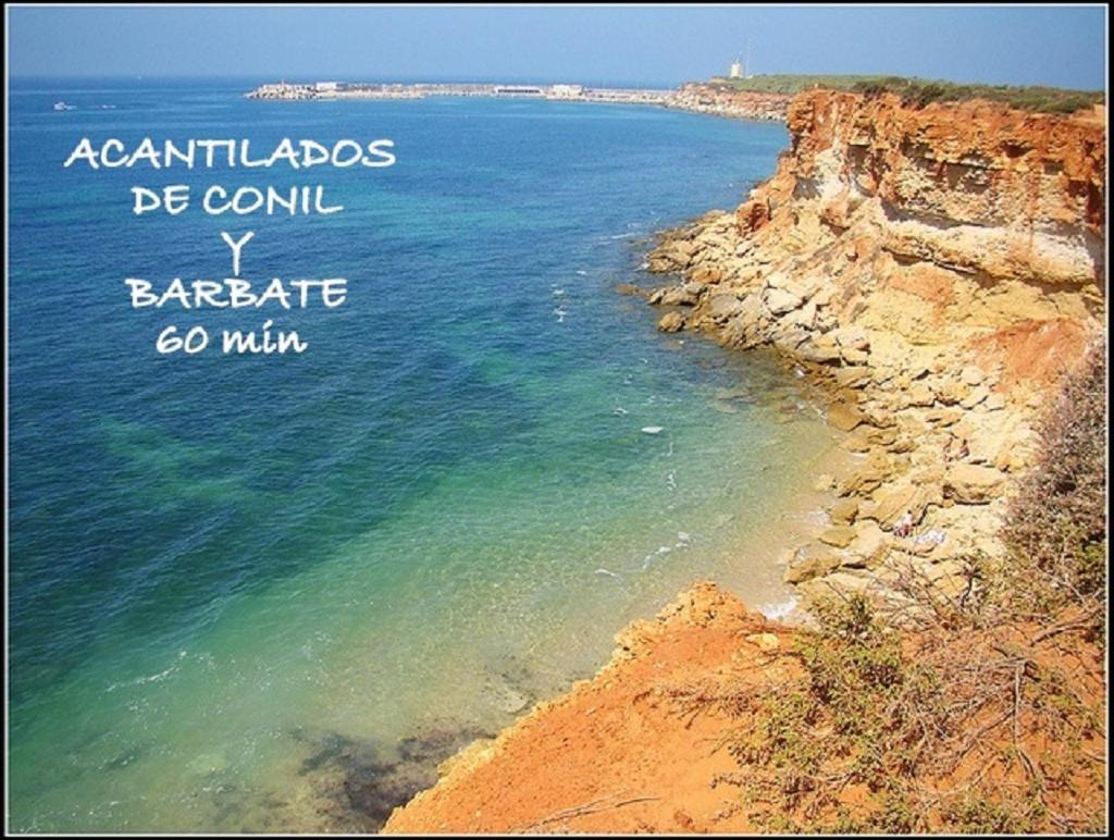 Acogedor Loft A 30 Minutos De La Playa Y Montana Διαμέρισμα Lebrija Εξωτερικό φωτογραφία
